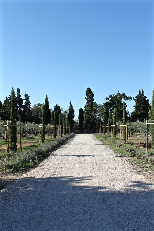 Domaine De Fontbelle Bed & Breakfast Graveson Dış mekan fotoğraf