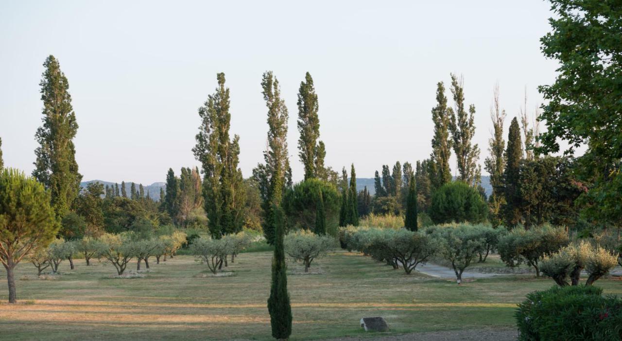 Domaine De Fontbelle Bed & Breakfast Graveson Dış mekan fotoğraf